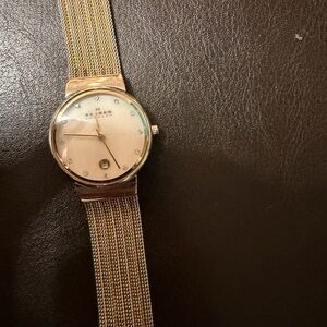 Skagen Gold-Tone Mesh Strap Watch with Crystal Markers
